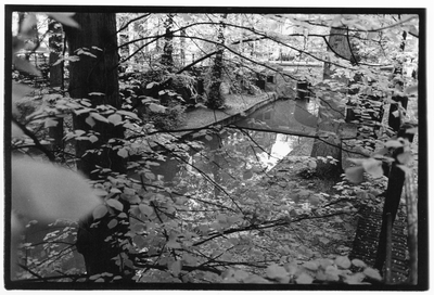 406278 Gezicht op de door bomen omzoomde Nieuwegracht te Utrecht.